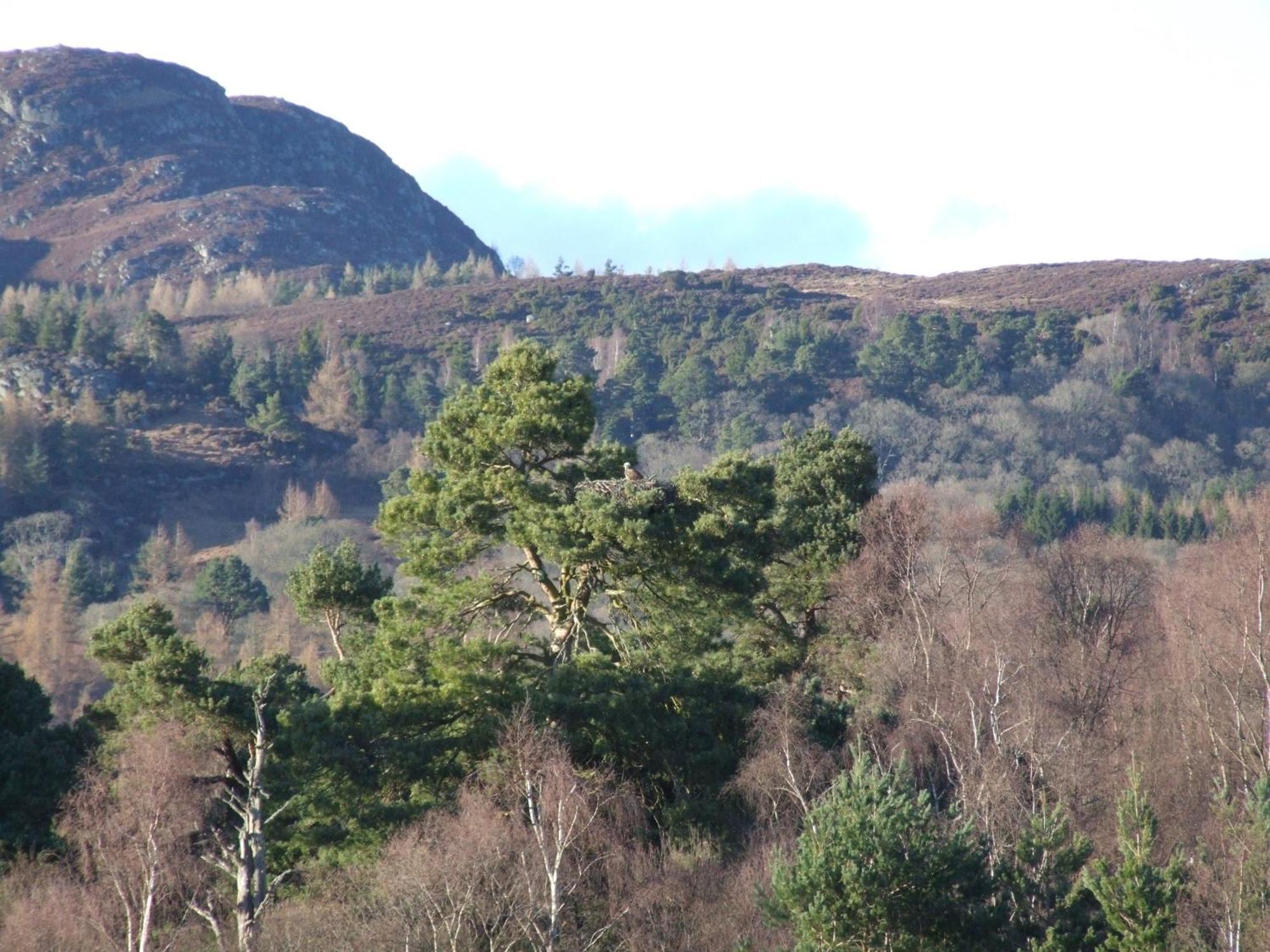 Kinloch House Hotel Blairgowrie and Rattray Luaran gambar