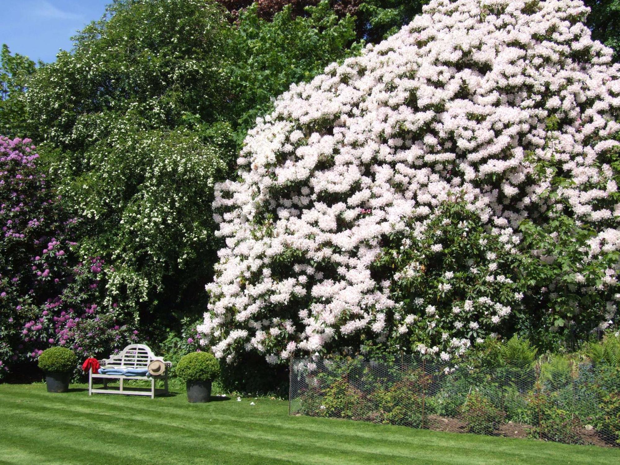 Kinloch House Hotel Blairgowrie and Rattray Luaran gambar